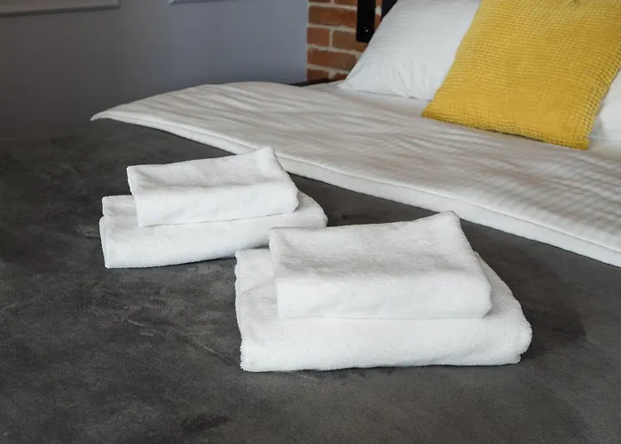 Metro Swietokrzyska Loft *