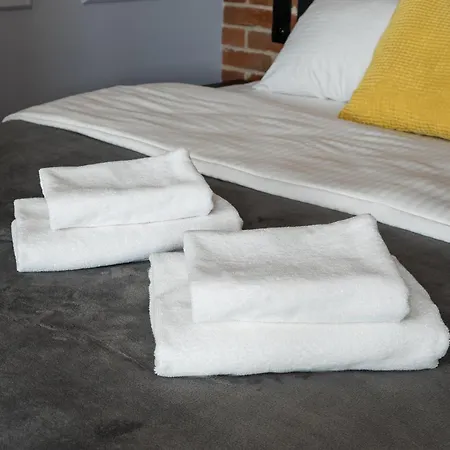 Metro Swietokrzyska Loft *